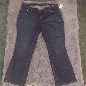 Stylish Navy Flare Jeans